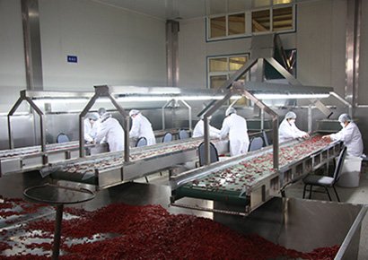 KONJAC FOOD PRODUCTION LINE